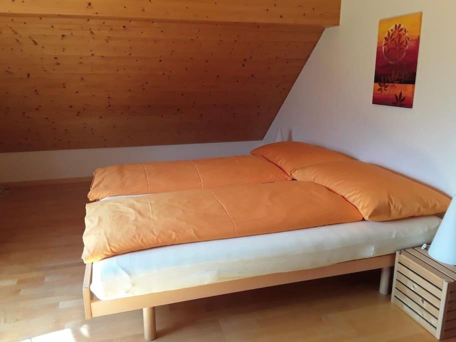 Zwinglis Ferienwohnung Rosi Nesslau Luaran gambar
